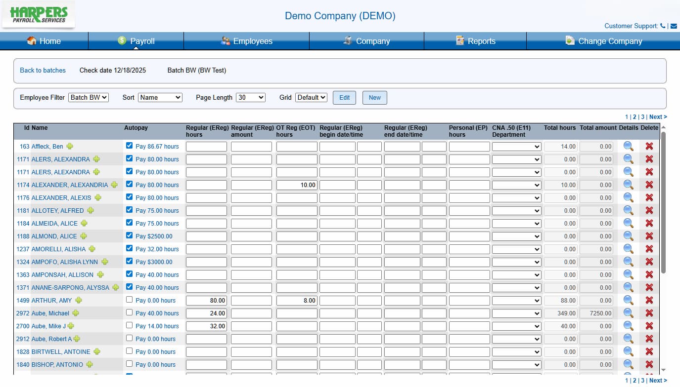 Batch entry interface